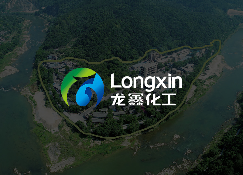 热烈庆祝浙江龙鑫化工有限公司官方网站上线!
